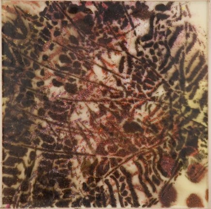 Eclipses JMS06 24, 2006