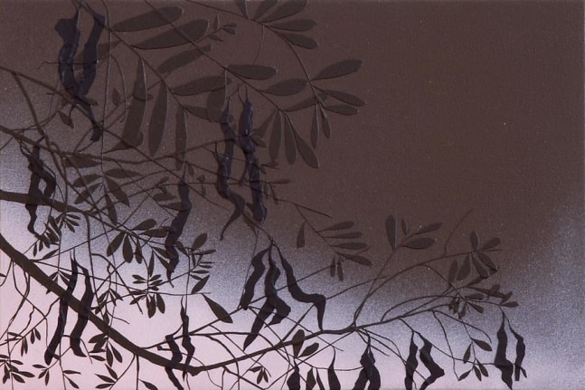 Untitled (tree study, night), 2009
