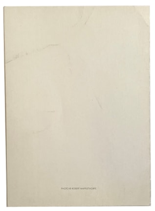 Andy Warhol, Robert Mapplethorpe, Paul Maenz, Alternate Projects