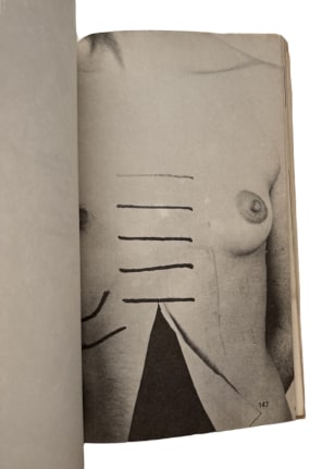Movimento de Arte Pornô