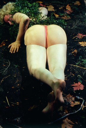 Cindy Sherman, Untitled #155, 1985.