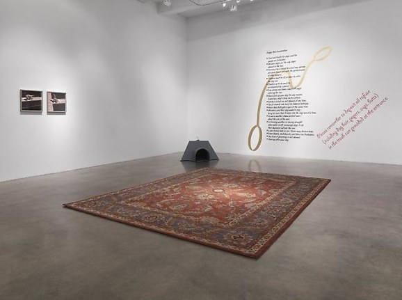 Installation view, 2012. Metro Pictures, New York.