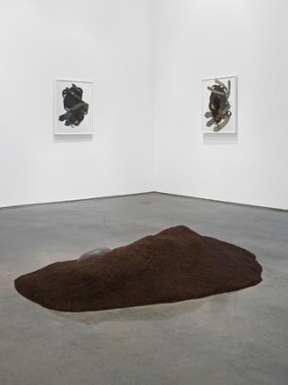 Installation View, 2015. Metro Pictures, New York.