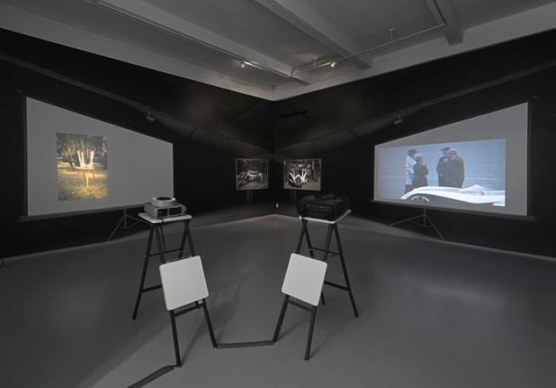 Installation View, 2015. Metro Pictures, New York.