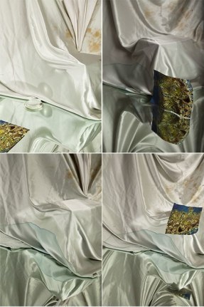 Arden Surdam photographs 'Autopeises I-IV'