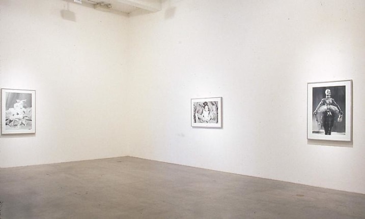 Installation view, 1999. Metro Pictures, New York.