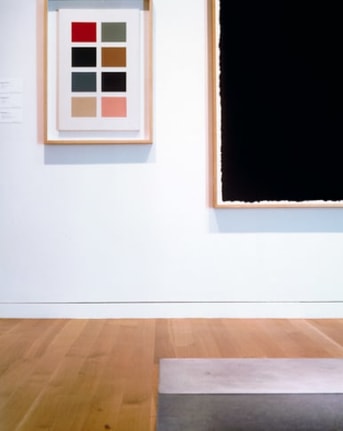 Life Expectancy, 2010. Cibachrome face mounted to plexi on museum box, 18 1/2 x 14 3/4 inches (47 x 37.5 cm). MP 663