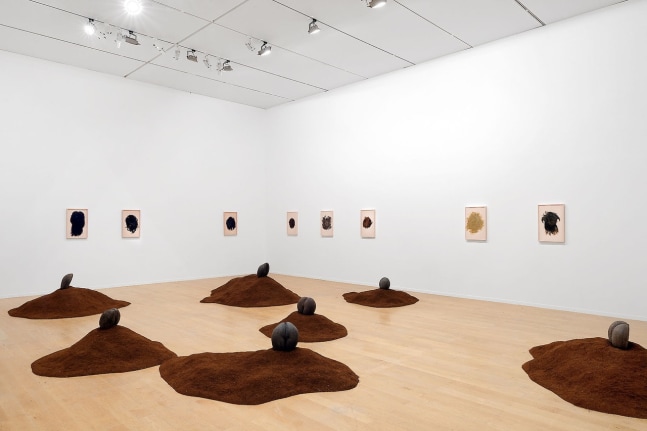 La via Moderne. Installation view, 2015. 13th Biennale de Lyon.