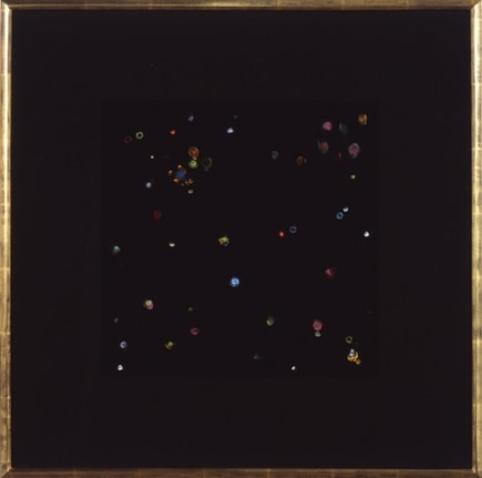 Black Velvet Study #1, 2002. Acrylic on black velvet mounted on wooden panels, 24 1/4 x 24 1/4 inches. MP 02-19