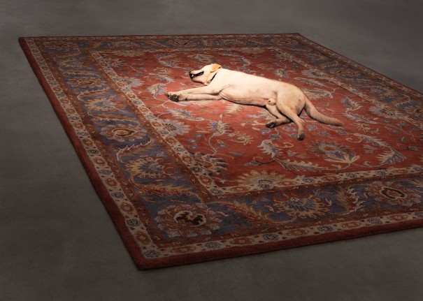Tragedy, 2012. Persian rug, dog. Performance still, 2012.