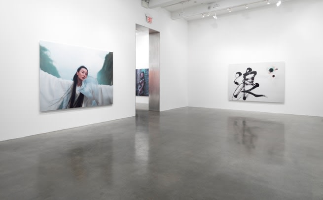 Ten Thousand Waves, 2011, installation view. Metro Pictures, New York.
