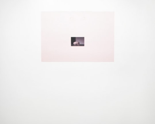 Civilian (Adjusted to fit), 2010/2011. Adhesive wall vinyl, image altered to conform to the proportions of a wall. MP 652-A