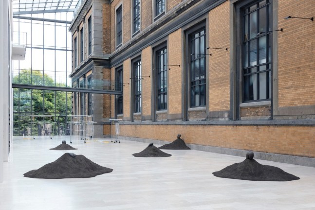 Female Nude, 2015. 5 Lodoicea seed, fertilized dirt, Dimensions variable.