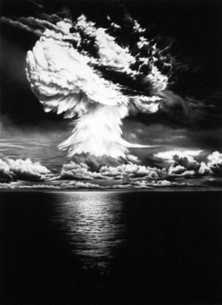 Untitled (Ivy Mike), 2003. Charcoal on mounted paper, 82 x 60 inches. MP D-499