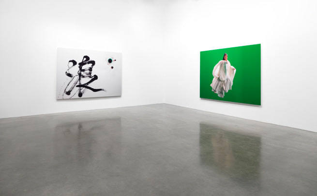 Ten Thousand Waves, 2011, installation view. Metro Pictures, New York.