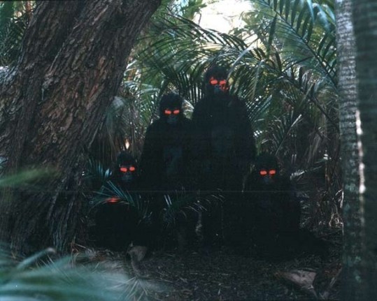Apes, 2001. Laminated c-print mounted on aluminum, 32 x 40 inches (152.4 x 190.5 cm)