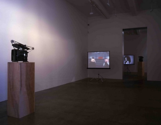 T.J. Wilcox, "Garlands," 2005. Metro Pictures, New York.