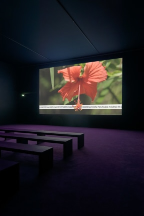 Days are Dogs. Installation view, 2017. Palais de Tokyo, Paris. Photo: Aurélien Mole.