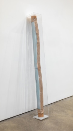 Alterity Line, 2002-2017. Oil paint on cotton canvas and laser etching on Plexiglas, Plexi box 62 x 6 3/4 x 6 7/8 inches (157.5 x 17.1 x 17.5 cm).