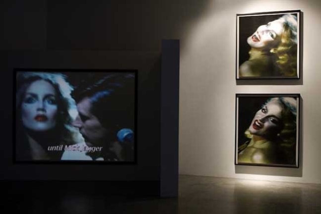 T. J. Wilcox, 2007. Metro Pictures, New York.