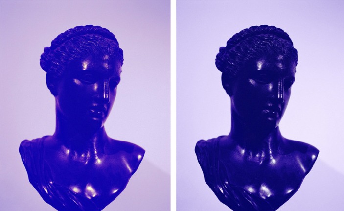Sara VanDerBeek photographic work "Roman Woman VIII"