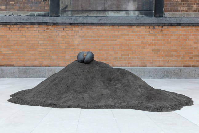Female Nude, 2015. 5 Lodoicea seed, fertilized dirt, Dimensions variable.