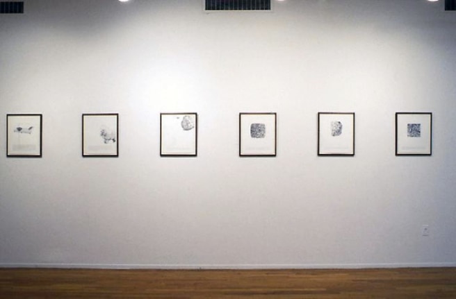 &quot;Dreams That Money Can Buy You,&quot; installation view, 1993. Metro Pictures,  New York.
