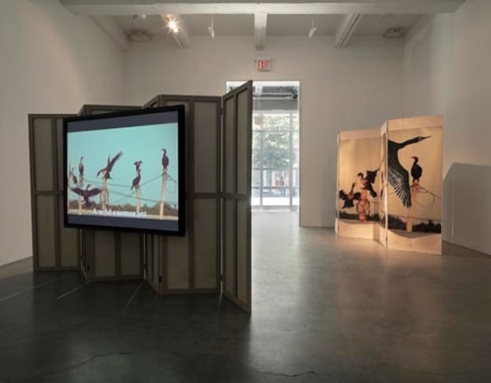 T. J. Wilcox, 2010, installation view. Metro Pictures, New York