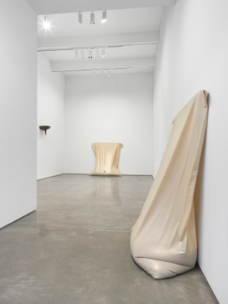 Baby, installation view, 2018. Metro Pictures, New York.