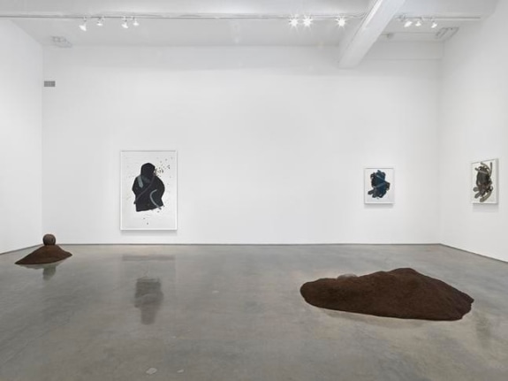 Installation View, 2015. Metro Pictures, New York.