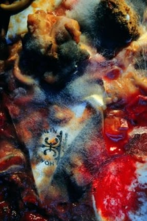 Untitled, 1987-90. Color photograph, 90 x 60 inches. Edition of 6. MP 234