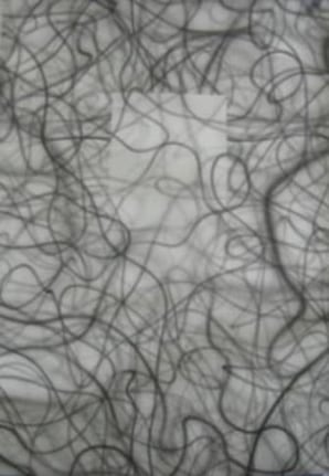 Untitled (Rectangle), 2007. Airbrush on paper, 80 x 53 inches (203.2 x 134.6 cm). MP D-454