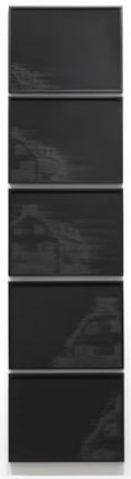 Amityville, 2010. Pigment and charcoal on paper, 5 panels, 19 x 25 inches (each panel) (48.3 x 63.5 cm). MP D-382