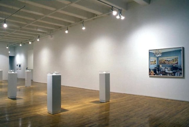 &quot;External Stimulation,&quot; installation view, 1994. Metro Pictures, New York.
