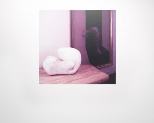 "Clair/Obscur" (Adjusted to fit), 2007/2011. Adhesive wall vinyl, image altered to conform to the proportions of a wall. MP 630-A