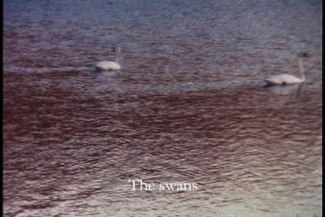Still from "Garland #6", 2005. 16 mm film, 9 Minutes, 13 Seconds. Edition of 5. MP F-47