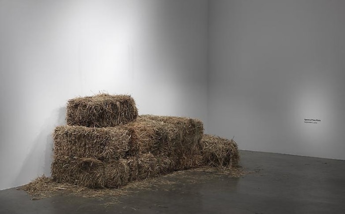 Installation view, 2012. Metro Pictures, New York.