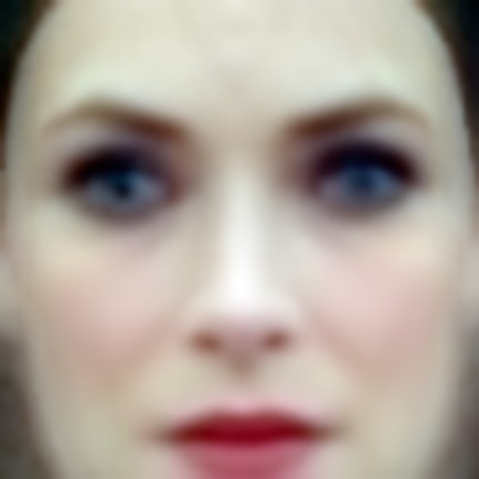 "Winona" Eigenface; Labeled Faces in the Wild Dataset, 2016.