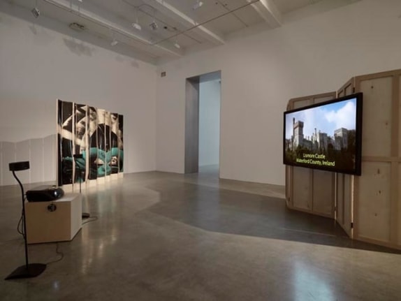 T. J. Wilcox, 2010, installation view. Metro Pictures, New York