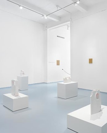 Installation view, 2014. Metro Pictures, New York.