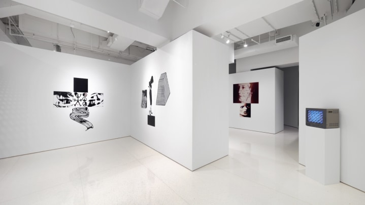 So Much Deathless. Installation view, 2019. Red Bull Arts New York.