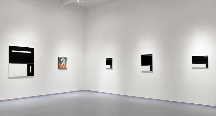 Installation view, 2013. Metro Pictures, New York.