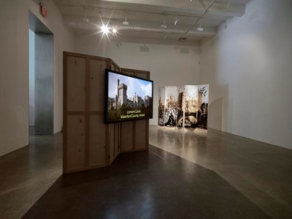 T. J. Wilcox, 2010, installation view. Metro Pictures, New York