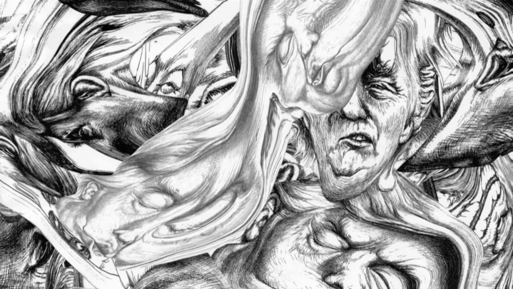 Trump Descending, 2017