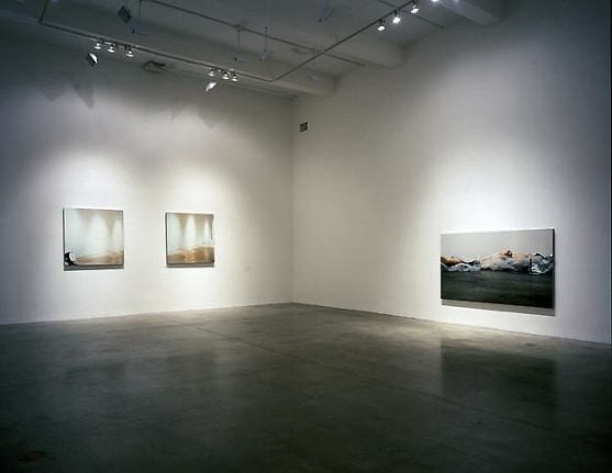 &quot;Looking Forward,&quot; installation view, 2004. Metro Pictures, New York.
