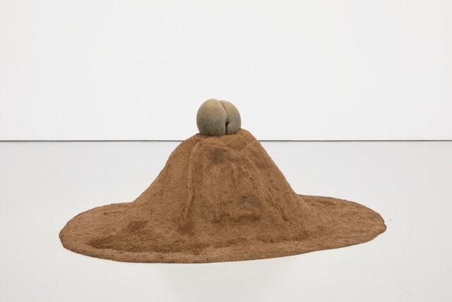 Female Nude, 2015. Cocos Nucifera (Coco Fesse), fertilized dirt. Cocos Nucifera: 6 x 9 1/2 x 9 in (15.2 x 24.1 x 22.9); dirt: dimensions variable. 