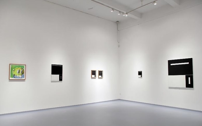 Installation view, 2013. Metro Pictures, New York.