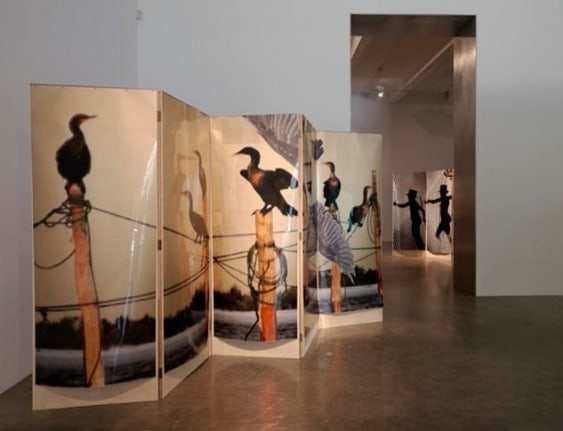 T. J. Wilcox, 2010, installation view. Metro Pictures, New York