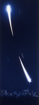 Untitled, 1984. Acrylic on canvas, 96 x 36 inches. MP 126