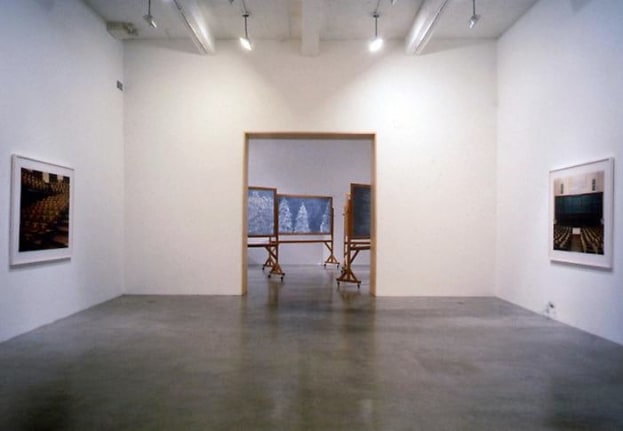 &quot;The Forest for the Trees,&quot; installation view, 1998. Metro Pictures, New York.